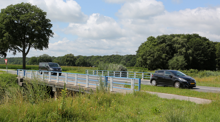 foto van de brug in groene omgeving